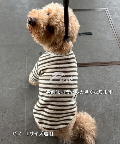 リネンボーダーTシャツ