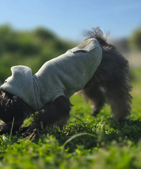 sleeveless hoodie