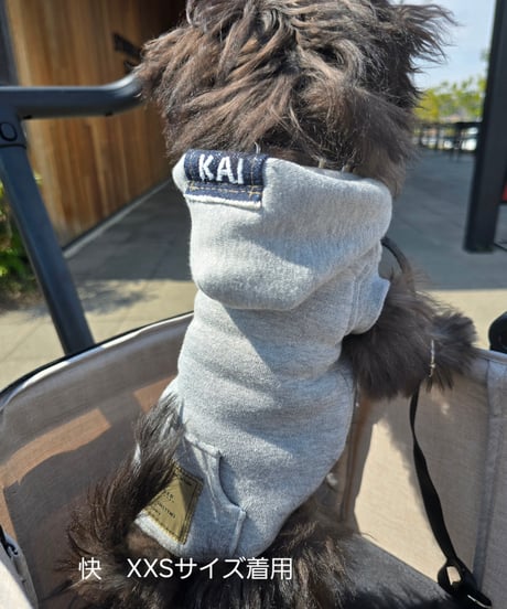 sleeveless hoodie