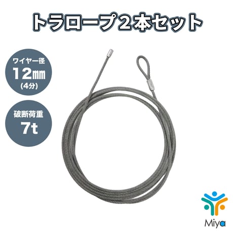 トラロープ　12ｍｍｘ20ｍ　(４分) 　２本ｾｯﾄ　6ｘ24Ｏ/O　建て起こしワイヤー　ワイヤー　アイ加工/シングルロック　建ち起こし　建て方　【送料無料】
