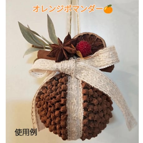 クローブ　小袋入り15g