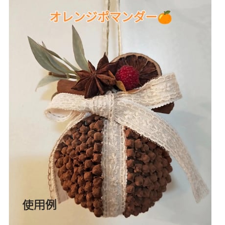 クローブ　　瓶入り25ｇ