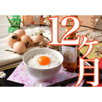 【送料無料】12か月間　毎月お届け！烏骨鶏卵１０個【初回お届け毎月15日頃】
