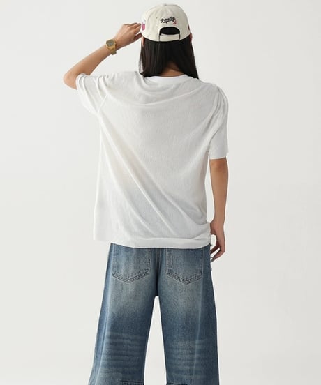 Sheer Layered Mesh Print T-Shirt / 2colors