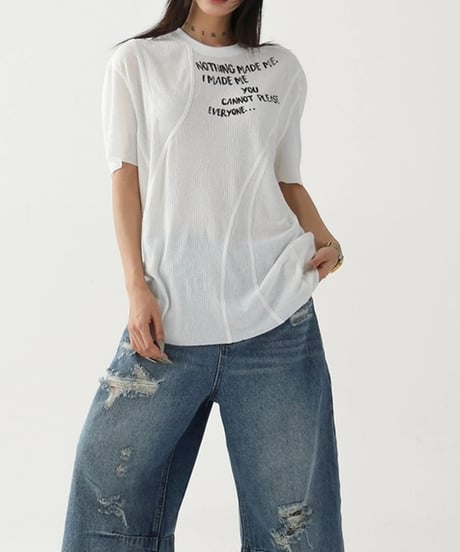 Sheer Layered Mesh Print T-Shirt / 2colors