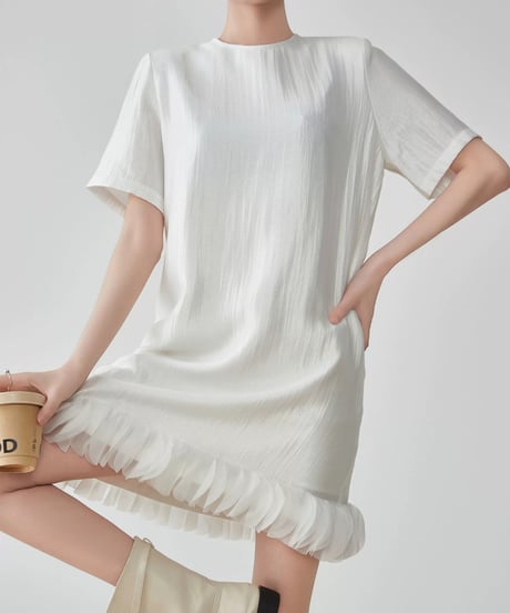 Hem Tulle Frill Mini Dress