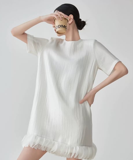 Hem Tulle Frill Mini Dress