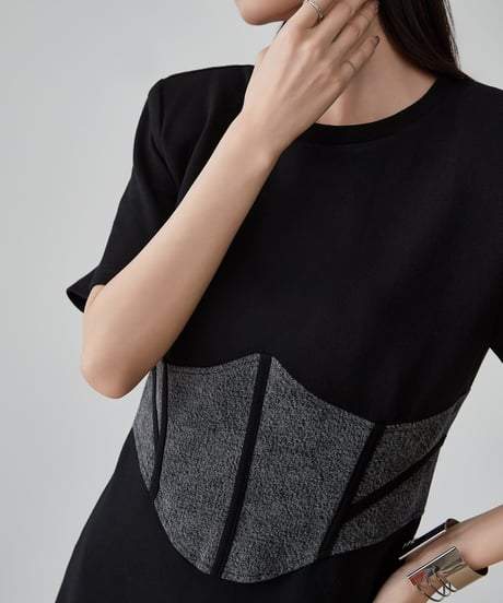 Waist Shape Corset Mini Dress