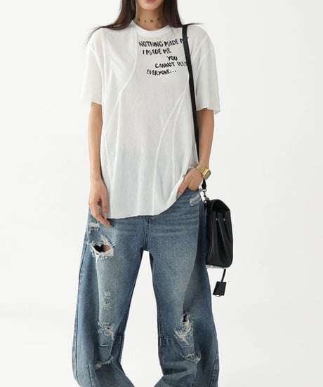 Sheer Layered Mesh Print T-Shirt / 2colors