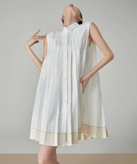Two-Tone Pleated Sleeveless Dress