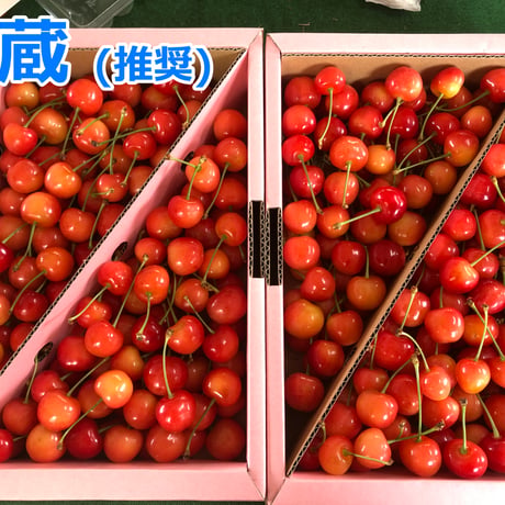 さくらんぼ 佐藤錦 (B)【冷蔵便】