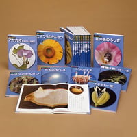 絵本セット｜【新装版】科学のアルバム（植物編）