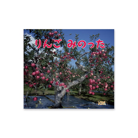 絵本セット｜年中コース A（全7冊）
