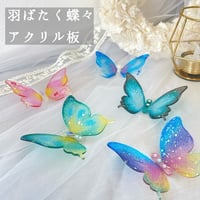 羽ばたく蝶々アクリル板