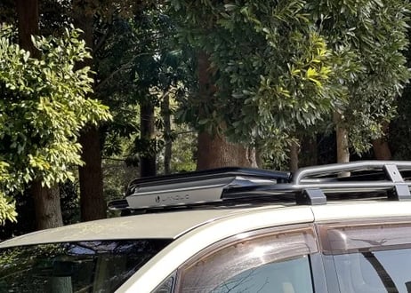 【LANDLIC】 ランドラック専用ディフレクター　DELICA　D:5 中期型2019-専用
