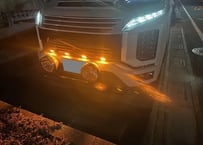 LANDLIC　グリルマーカー　デリカD:5中期型 2019-専用
