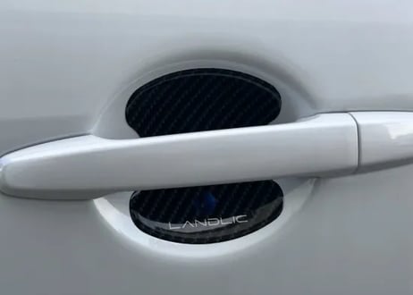 【LANDLIC】 ドアプロテクト　カーボン柄　DELICA　D:5　中期型2019-専用