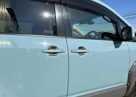 【LANDLIC】 ドアプロテクト　迷彩オリーブ　DELICA　D:5　中期型2019-専用