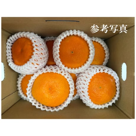 贈答・まどんな（精品格）《終了》