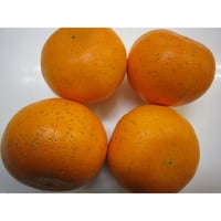家庭用・せとか５ｋｇ《終了》