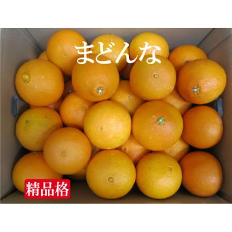 贈答・まどんな（精品格）《終了》