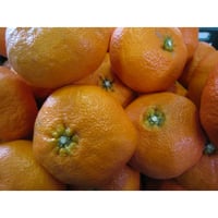 家庭用・甘平（かんぺい）《終了》