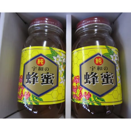 生蜂蜜 非加熱 【贈答】百花蜂蜜 1000g×2