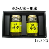 生蜂蜜 非加熱 【贈答】みかん蜜＋地蜜 180g×2