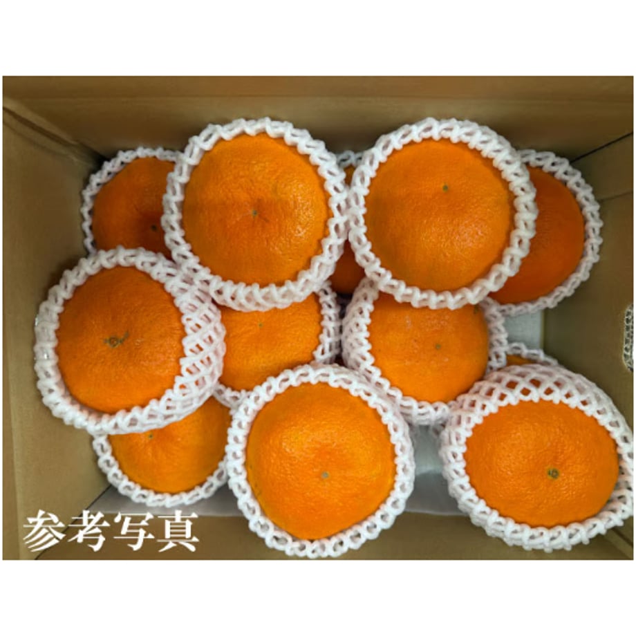 6a07efd509d630092a5dda3b