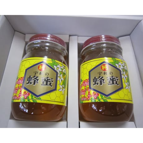 生蜂蜜 非加熱 【贈答】百花蜂蜜 500g×2