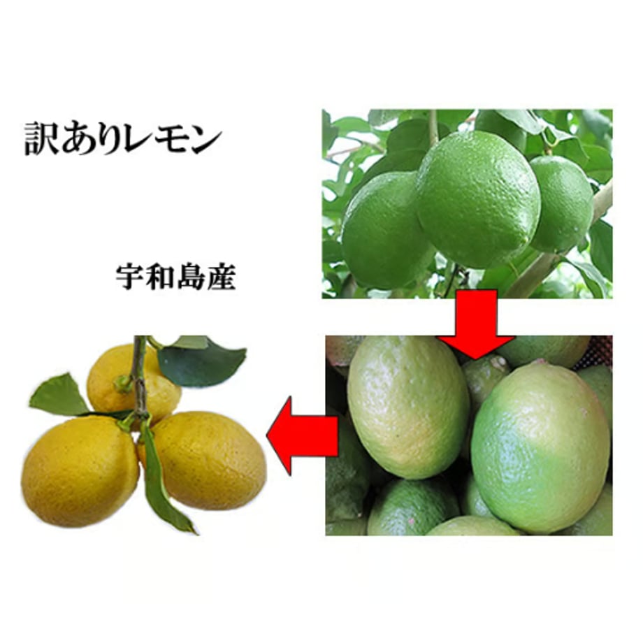 697812d2324c36000181ec32