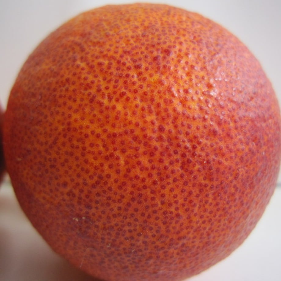 697816cddba437000148276b