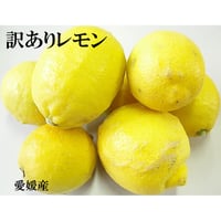 【低農薬】国産レモン(家庭用)《終了》