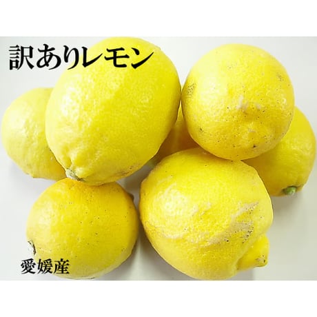 【低農薬】国産レモン(家庭用)《終了》
