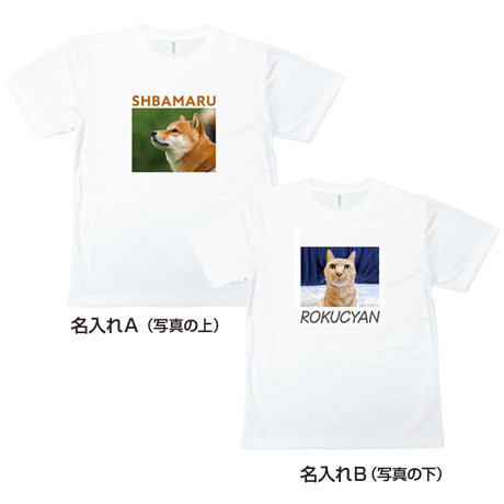 【送料無料】Tシャツ（ベーシック）
