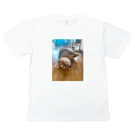 【送料無料】Tシャツ（ベーシック）