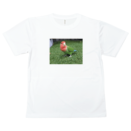 【送料無料】こども用Tシャツ（ベーシック）
