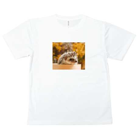 【送料無料】こども用Tシャツ（ベーシック）