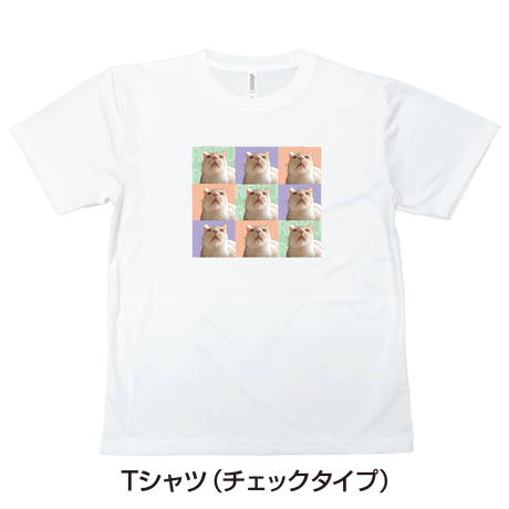 【送料無料】Tシャツ（3×3チェックプリント）