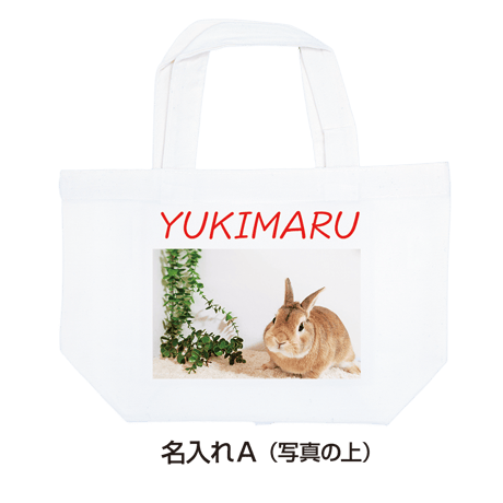 【送料無料】ミニトート