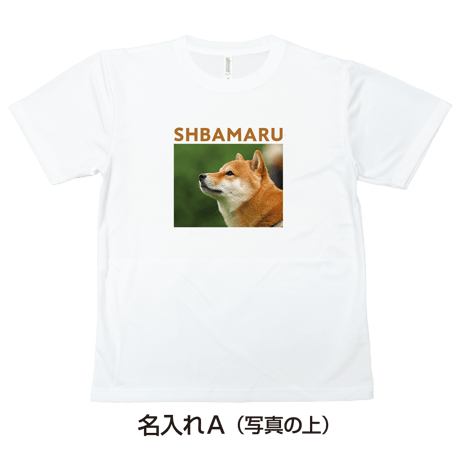 【送料無料】こども用Tシャツ（ベーシック）