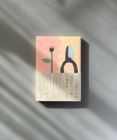 わからなくても近くにいてよ | 堀静香