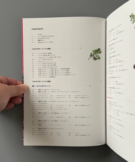スパイス・マトリックス | 日沼紀子