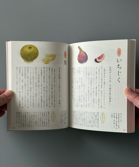 12か月の薬膳食材帖 | 山田奈美