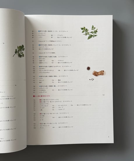 スパイス・マトリックス | 日沼紀子