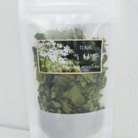 トウキ（葉・茎）