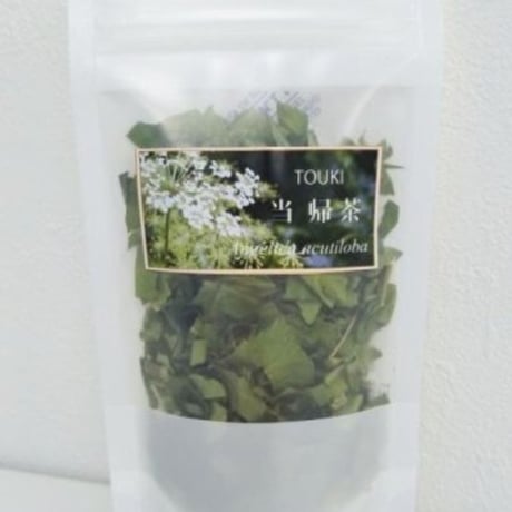 トウキ（葉・茎）
