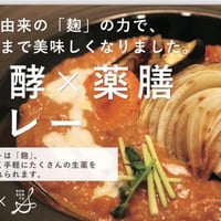 発酵×薬膳カレー(竹すみ米雑穀米付き)