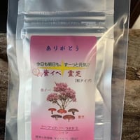 紫イペ霊芝