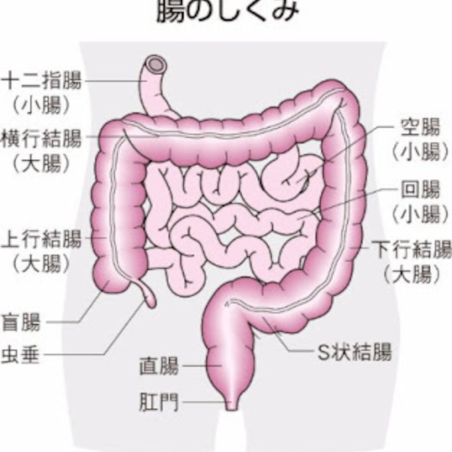 69793caa434b957db5ecf205